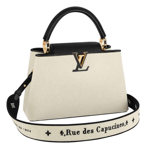 lv capucine bag price|louis vuitton capucines price euro.